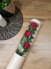 Róże w tubie róże w pudełku BEŻOWY 50 cm kod: 2523
