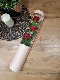 Róże w tubie róże w pudełku PUDRWOY 50 cm kod: 2524
