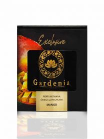 Gardenia Perfumowana Świeca Zapachowa MANGO Kod: HD-05