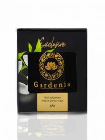 Gardenia Perfumowana Świeca Zapachowa SPA Kod: HD-06